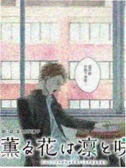 骑驴影院编号 067 综艺标本封面